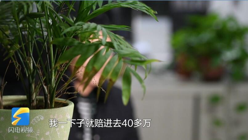 菏澤：“炒股大師”群內薦股 女子2天被騙40萬